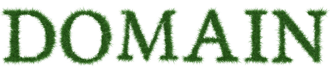 Domain - 3D rendering fresh Grass letters isolated on whhite background.