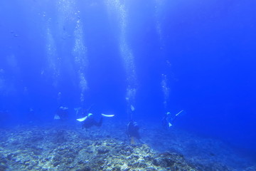 Fototapeta na wymiar 宮古島の海中を泳ぐダイバー