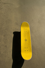 Skateboard © claudettethebat