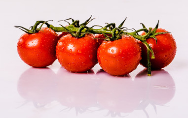 Tomatos on white background