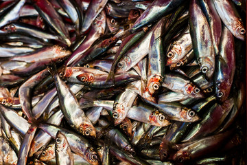 Herring, market