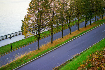 Obraz premium Beautiful view of urban park in Texas, America. Green grass lawn, huge pine trees and walking/running trail illuminated by sunshine alley during sunset. Parking lot in distance, composition of nature.