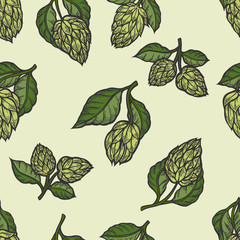 Hop vector seamless pattern. Hand drawn artistic beer green hops with leaves on white background. Vintage wallpaper - 169703377