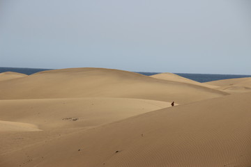 Fototapeta na wymiar maspalomas dunas at noon in summer, very hot, feels like a real desert, spanish island gran canaria
