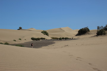 Fototapeta na wymiar exploring the desert of maspaomas, spain, gran canaria