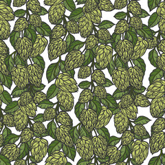 Hop vector seamless pattern. Hand drawn artistic beer green hops with leaves on white background. Vintage wallpaper - 169703787