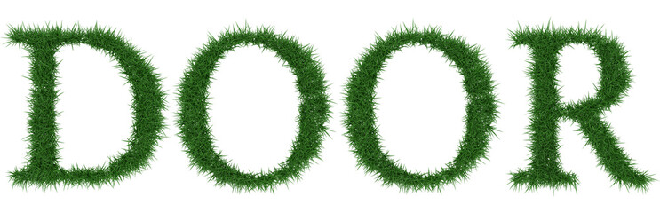Door - 3D rendering fresh Grass letters isolated on whhite background.