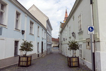 Street in Szekesfehervar, Hungary