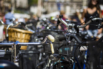 Many parked bicycles