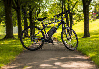 Fototapeta na wymiar Electric bicycle in a park on a sunny day