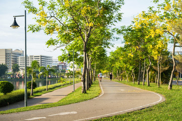Jogging track for exercise at the replubbic park and urban
