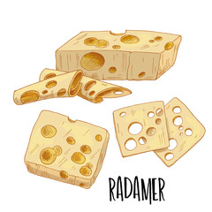 Full color cheese illustration, vector hand drawn