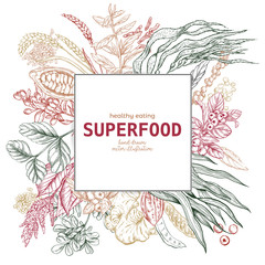 Superfood square banner, color sketch