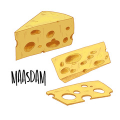 Full color cheese illustration, vector hand drawn