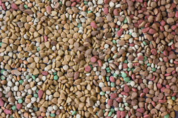 Dry pet food background.