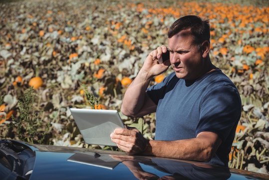 Farmer using digital tablet in pumpkin field