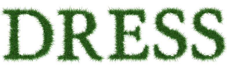 Dress - 3D rendering fresh Grass letters isolated on whhite background.
