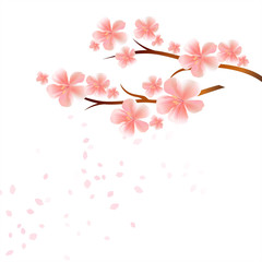 Branches of Sakura with Pink flowers and flying petals isolated on White background. Apple-tree flowers. Cherry blossom. Vector