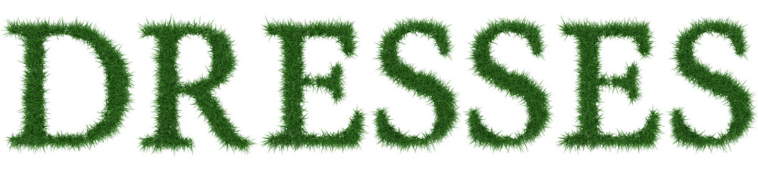 Dresses - 3D rendering fresh Grass letters isolated on whhite background.