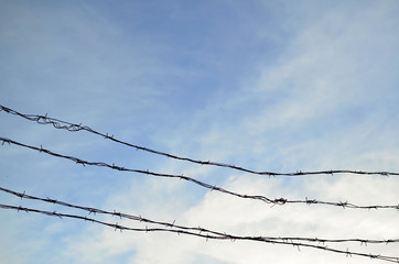 Barbed wire on the sky background