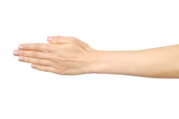 Woman's stretched hand with open palm