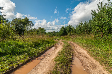 rural dirt road with dirty puddles after rain