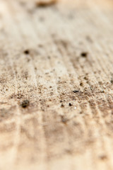 Close shot of a piece of firewood showing texture and grain. Shallow depth of field.