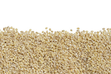row of dried peeled barley seed isolated on white background