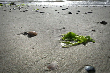 Strandmotiv bei Ebbe