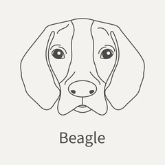 Beagle. Head dog Beagle in a linear style. Graphics outline element for your design. Vector illustration.