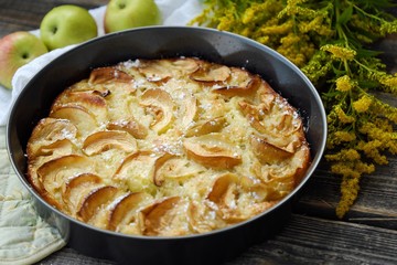 Delicious Apple pie with powdered sugar and fruits 