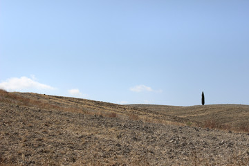 La terra &egrave; pronta