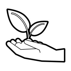 Leaves over hand icon Plant floral garden and nature theme Isolated desig. Vector illustration