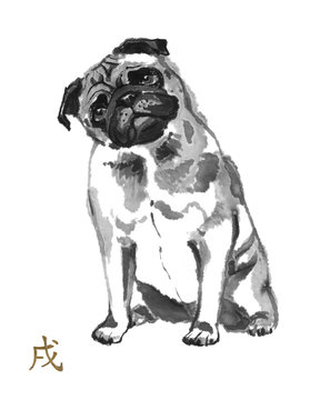 Pug oriental ink painting with golden Chinese hieroglyph "dog". Symbol of the new year. Original sumi-e art.
