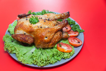 grilled chicken on red background