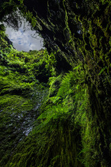 Fototapeta na wymiar Algar do Carvão, Ilha Terceira