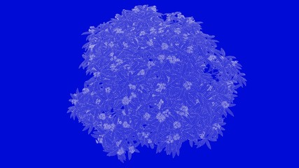 3d rendering of a white outlined tree on a blue background