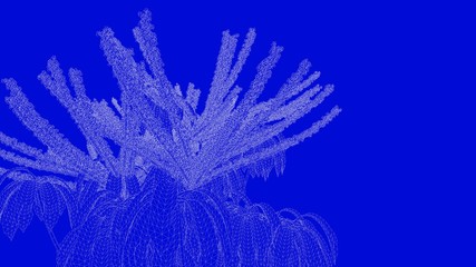 3d rendering of a white outlined tree on a blue background