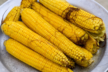 Boiled corn on an aluminum tray. Corn near. Closeup of corn. Yellow boiled young corn, useful and tasty food.