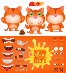 Creation kit of ginger emoticon funny cat