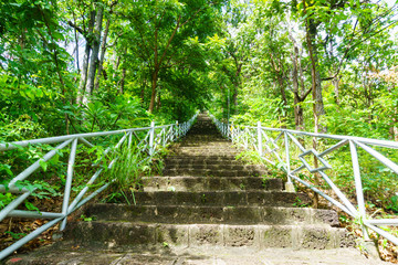 Fototapeta premium high steep cement stair in the forest go to top of the mountain.
