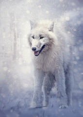 White wolf in the forest