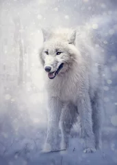 Tableaux sur verre Loup Loup blanc dans la forêt