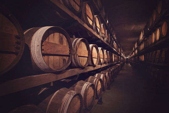 Wine cellar with a row of barrels
