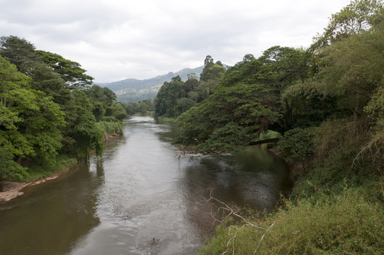 River in Royal Botanical Gardens, Peradeniya