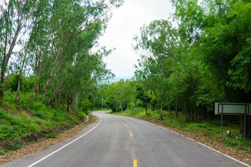 Fototapeta na wymiar Landscape of empty asphalt curved road through the green forest with line for direction on the way. country road in thailand. road trip, route to success, travel or endeavor abstract concept.