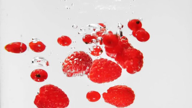 Red berries falling into water in slow motion with a white background
