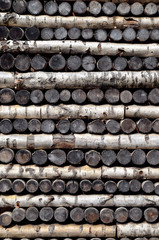 Old logs stacked in rows