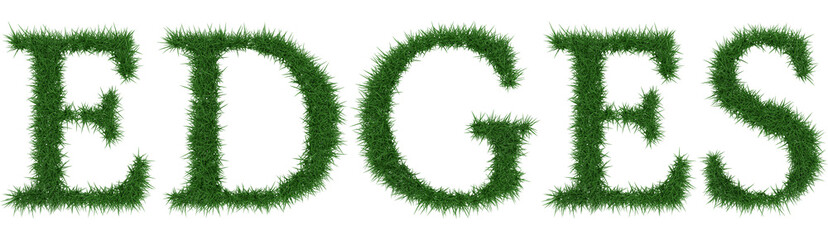 Edges - 3D rendering fresh Grass letters isolated on whhite background.