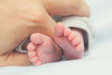 Baby feet in hands